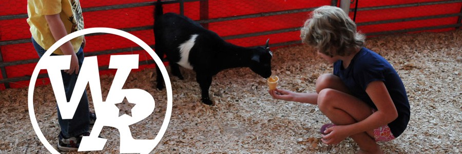Give us a call to meet our animals!