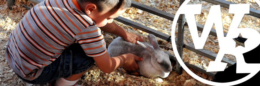 Awesome petting zoos for your party!